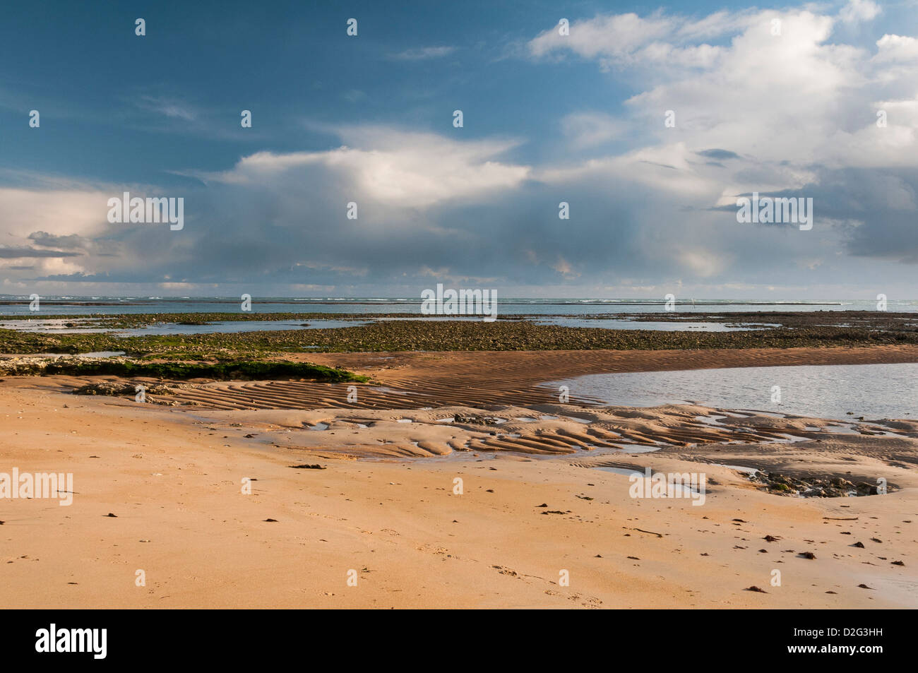 Plage de galets à marée basse Banque D'Images