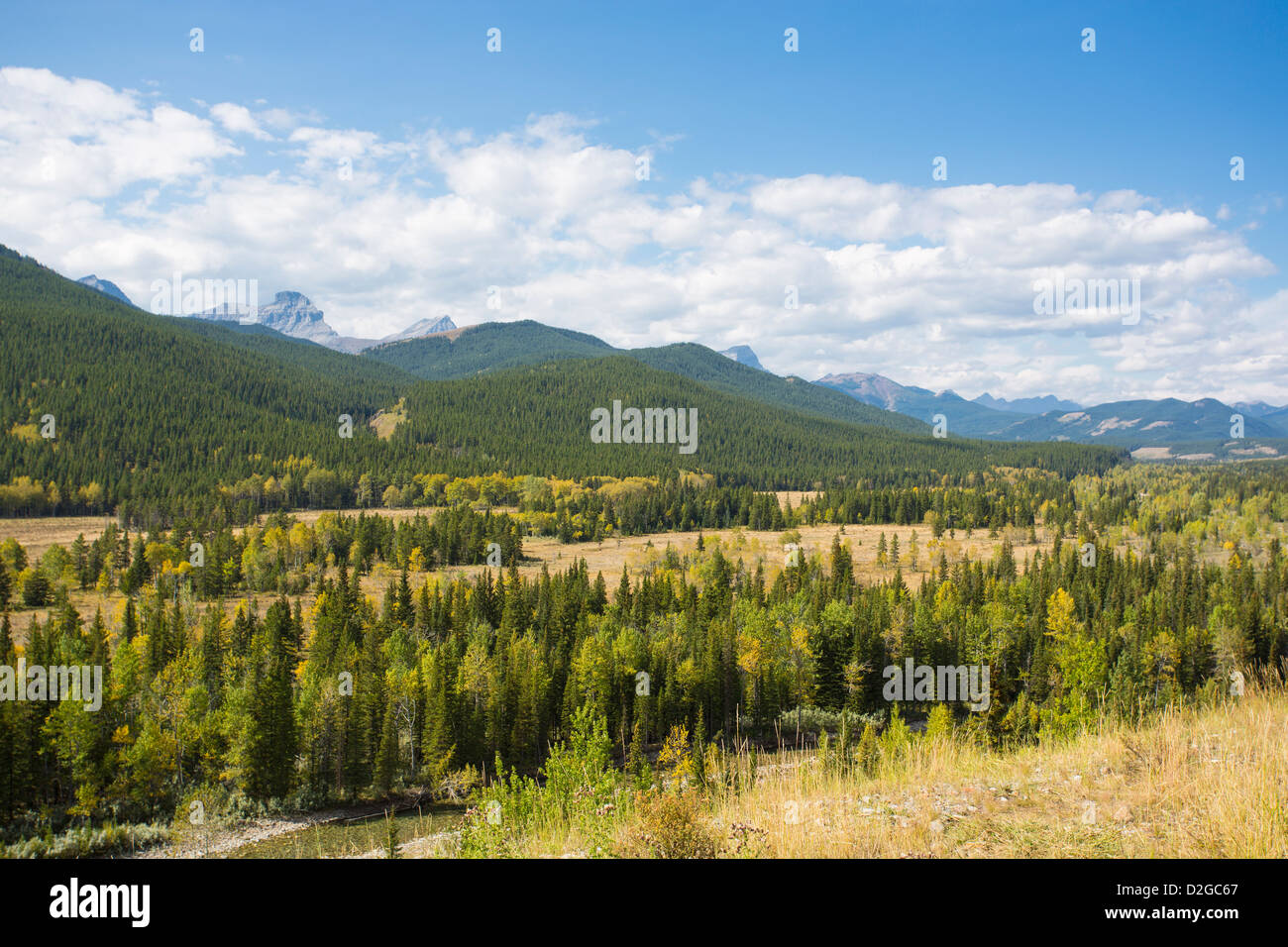 Rocheuses canadiennes le long de la Route 40 dans la région de Kananaskis en Alberta Canada Banque D'Images