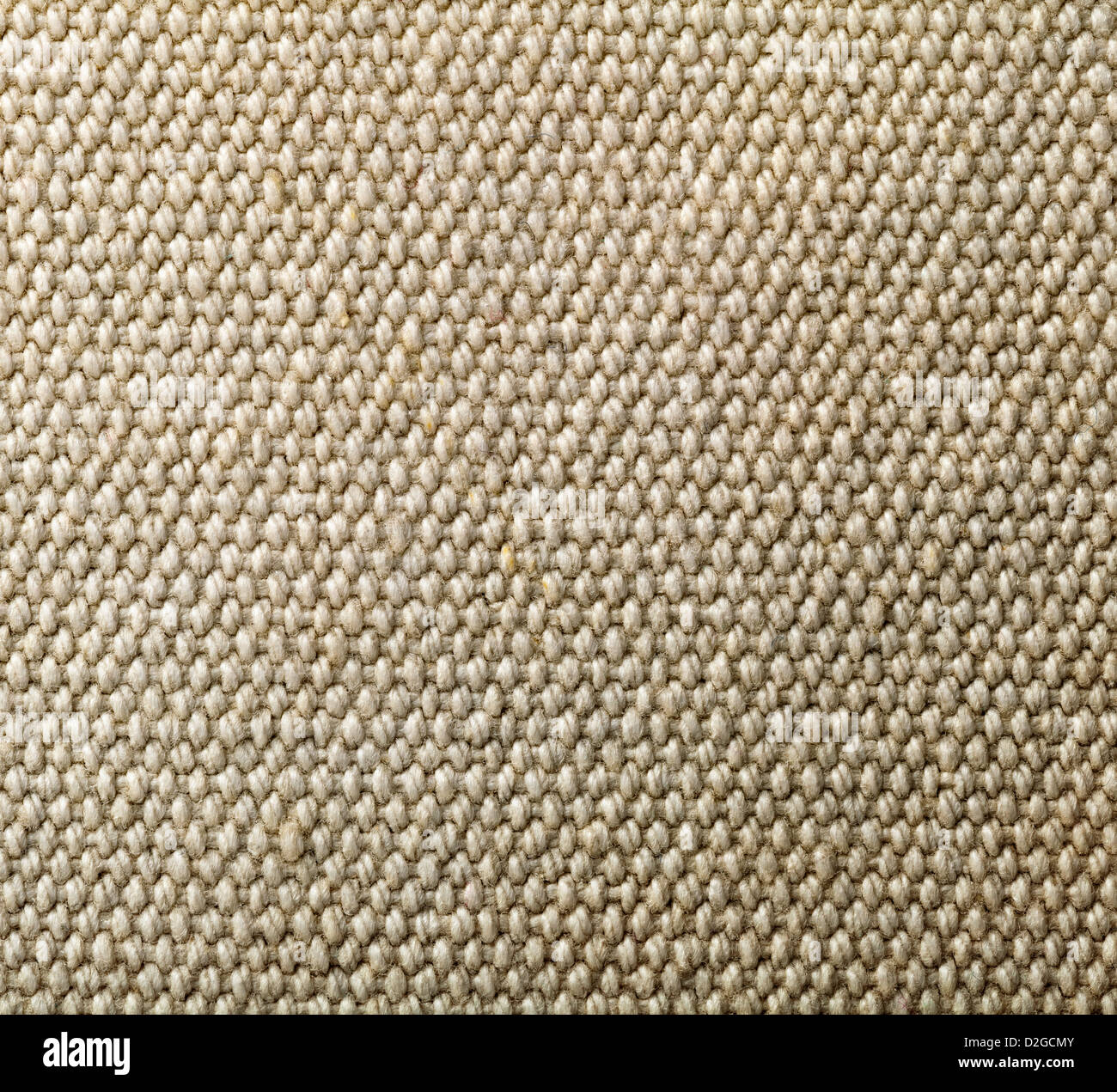 La texture de coton naturel pour l'arrière plan. Close up Banque D'Images