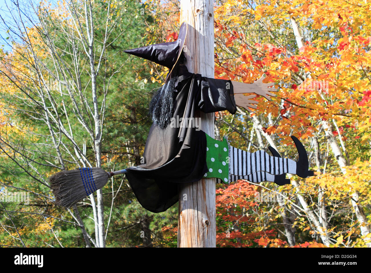 Un drôle halloween décoration d'une sorcière volant sur un balai et voler dans un poteau de téléphone Banque D'Images