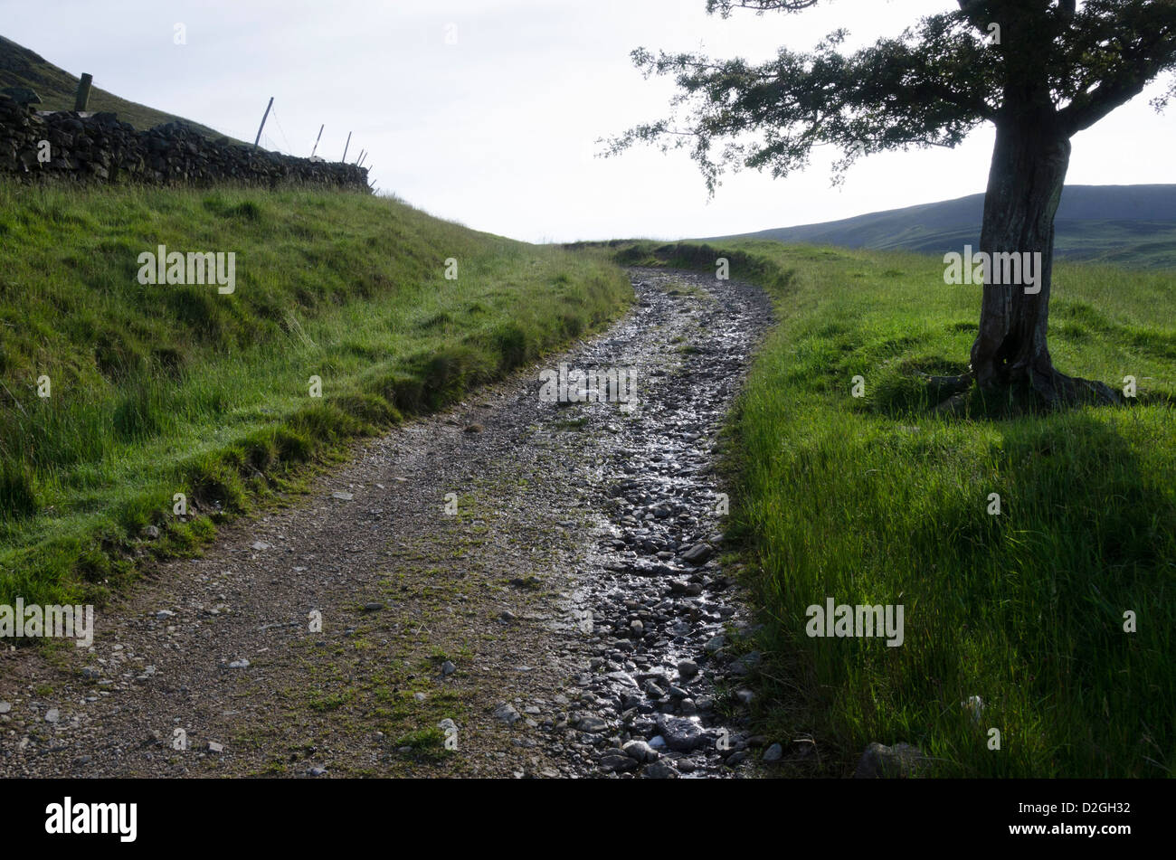 Passage à niveau de ferme landes, Pennines, Dufton, près de Appleby-in-Westmorland, Cumbria, Angleterre, Grande-Bretagne Banque D'Images