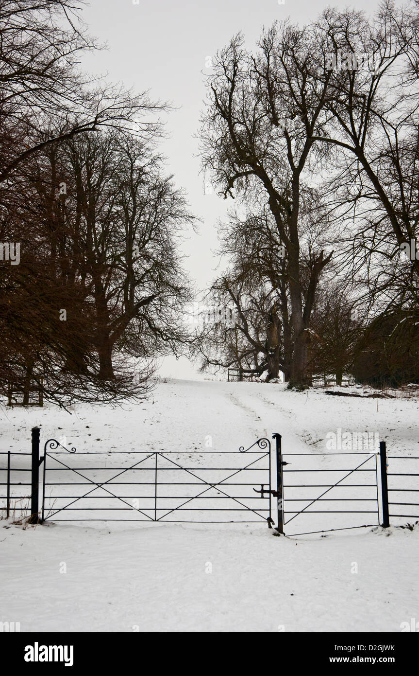 Gate et marcher dans la neige Wimpole estate Banque D'Images