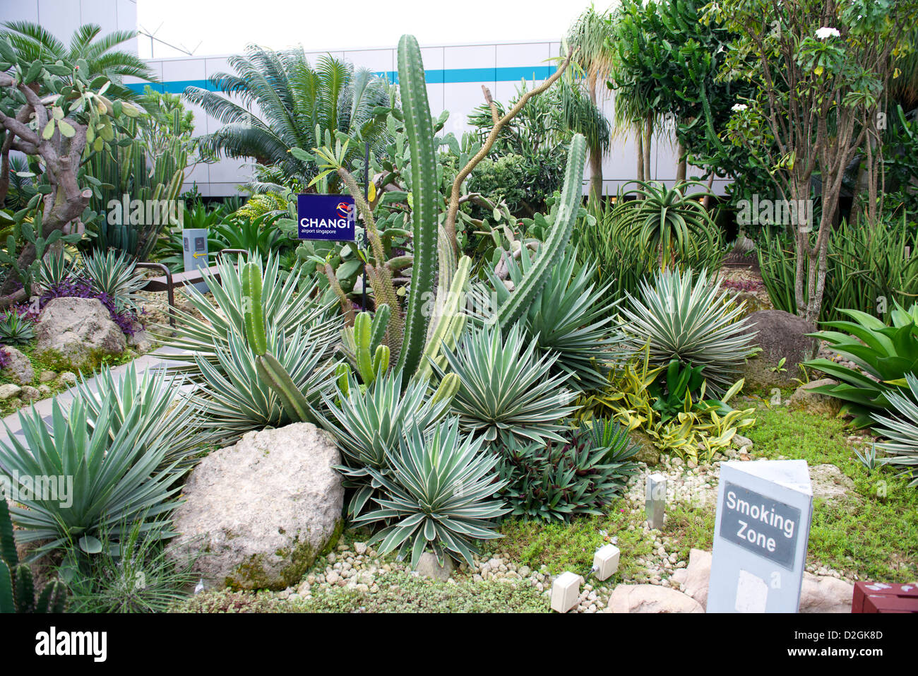 L'aéroport de Singapour chambre fumeurs Banque D'Images L'aéroport de Singapour chambre fumeurs Banque D'Images