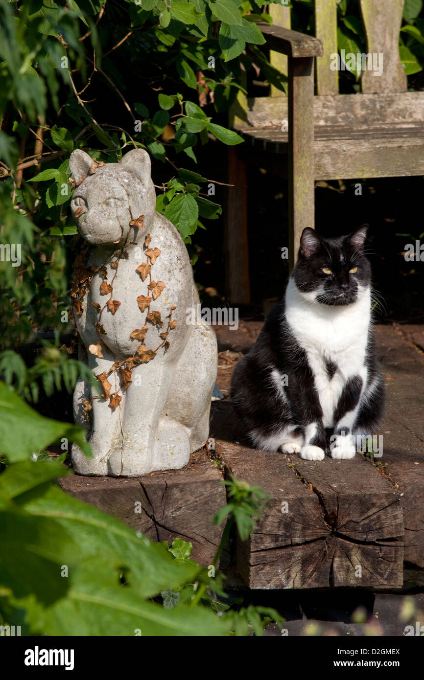 Chat noir et blanc en anglais jardin près de statue en pierre de cat Banque D'Images
