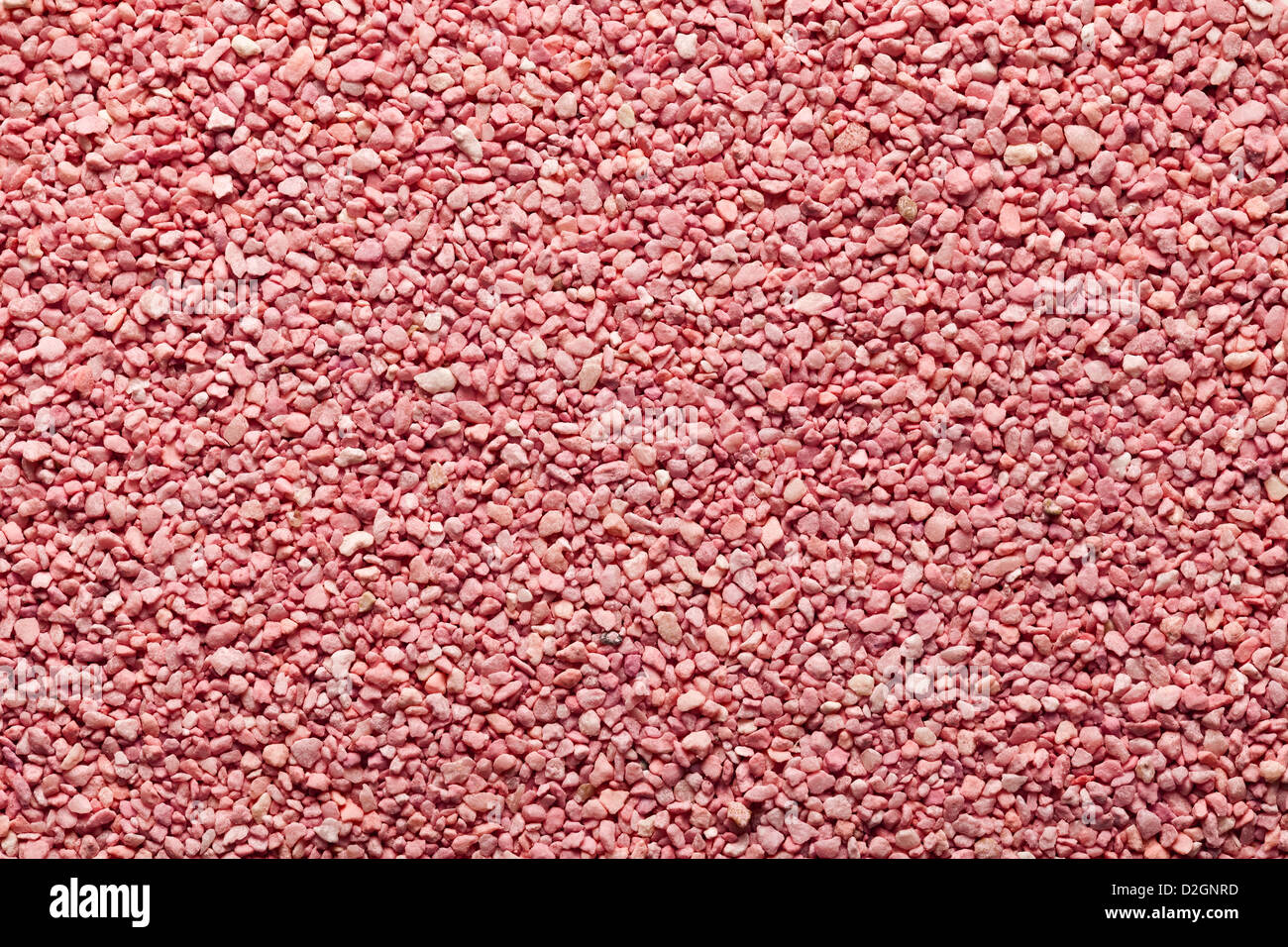 Texture grain rose pour l'arrière plan. Vue d'en haut Banque D'Images