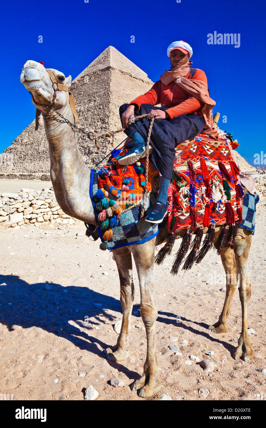 Chamelier pose en face de pyramide de Khafré ou Chefren, deuxième plus grande pyramide de Gizeh Égypte ancienne près du Caire, Égypte. Banque D'Images