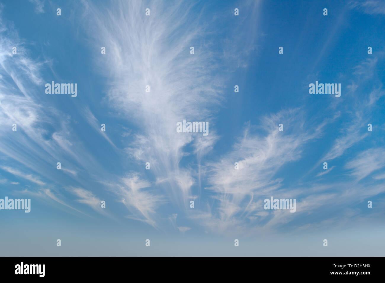 Beau ciel avec nuages cirrus photographié par un grand angle Banque D'Images