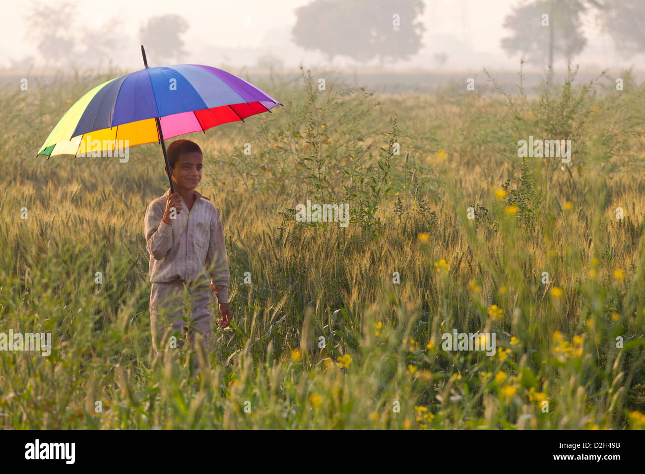 L'Inde, l'Uttar Pradesh, Agra boy running à travers champs de couleur vive holding umbrella Banque D'Images