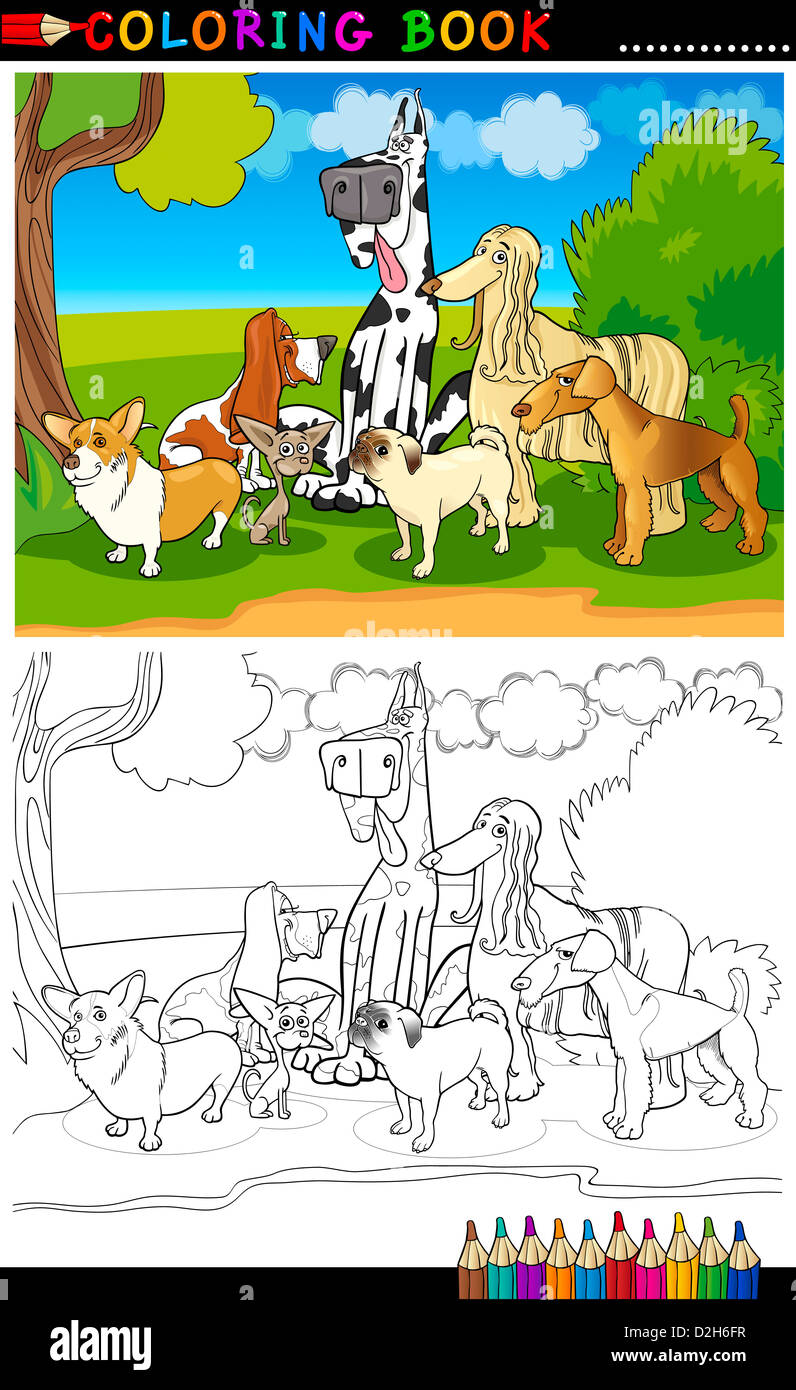 Cartoon Illustration de chiens de race drôle comme Corgi, Pug, Basset, Chihuahua et Lévrier Afghan pour Coloring Book Banque D'Images