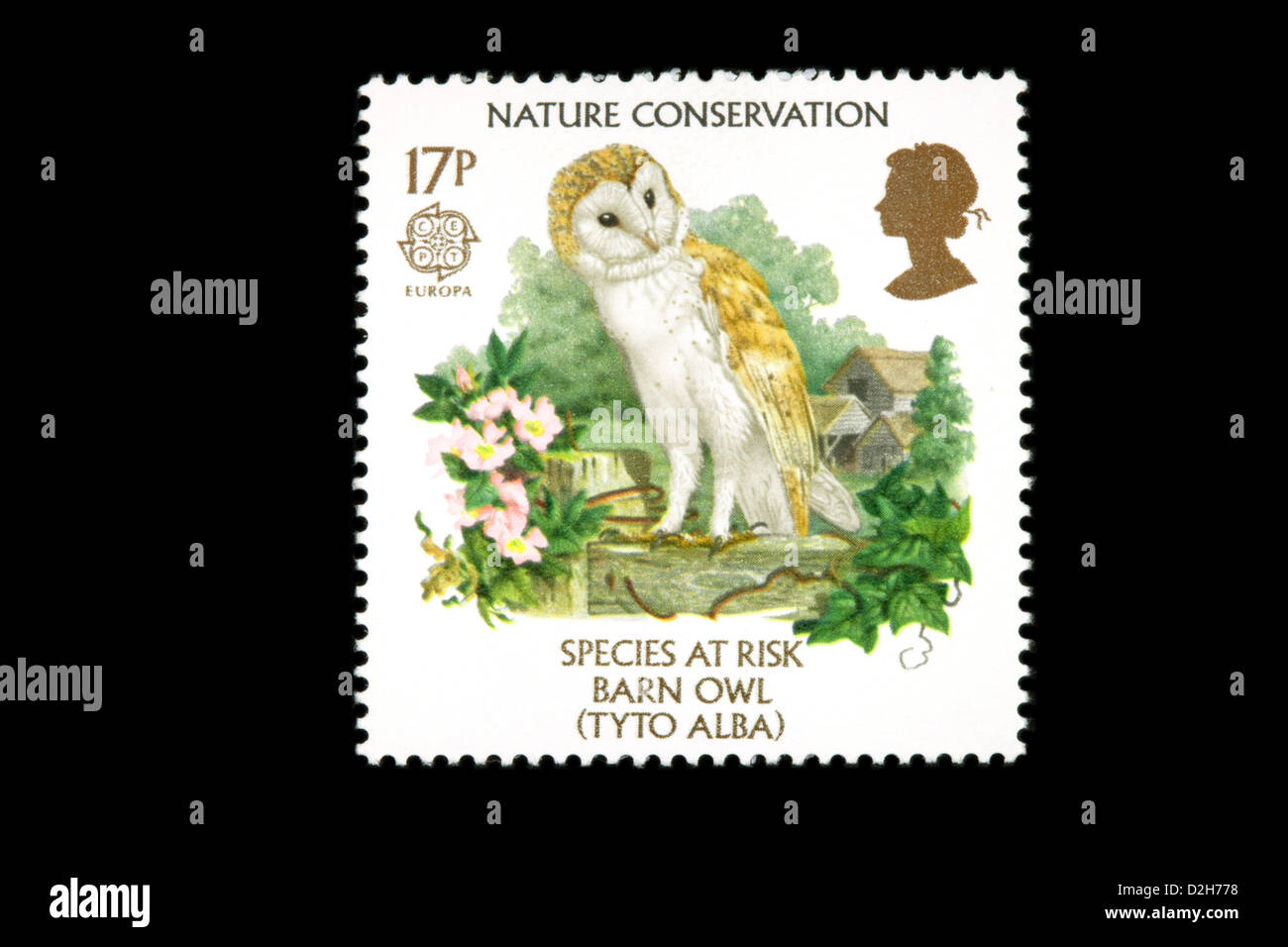 Le timbre Europa 1986 timbres de la question relative à la conservation de la nature avec une chouette effraie, UK Banque D'Images