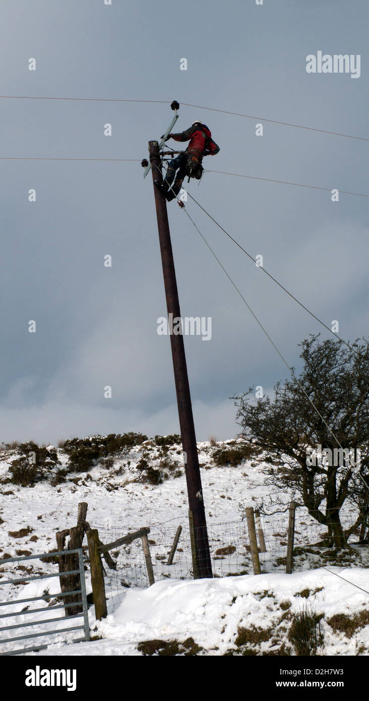 Western Power Distribution cables d'alimentation de l'électricité raccordement travailleur sur à un poteau en hiver dans l'ouest du pays de Galles UK KATHY DEWITT Banque D'Images