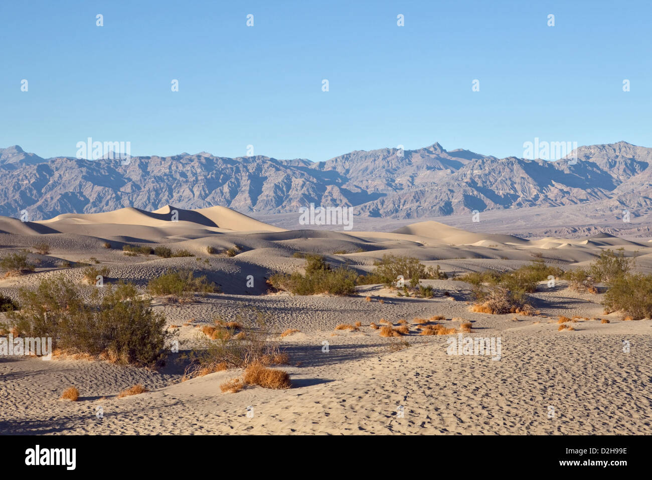 La VALLÉE DE LA MORT, ses dunes de sable image paysage, CA, USA, 2010. Mesquite Dunes au coucher du soleil, Death Valley National Park Banque D'Images