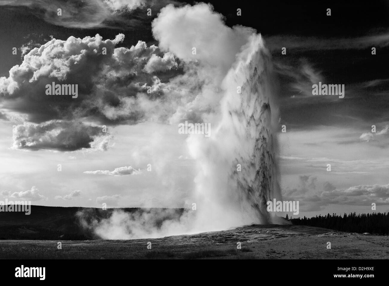 Old Faithful éclate contre les nuages de tempête dans le Parc National de Yellowstone, Wyoming, en noir et blanc Banque D'Images