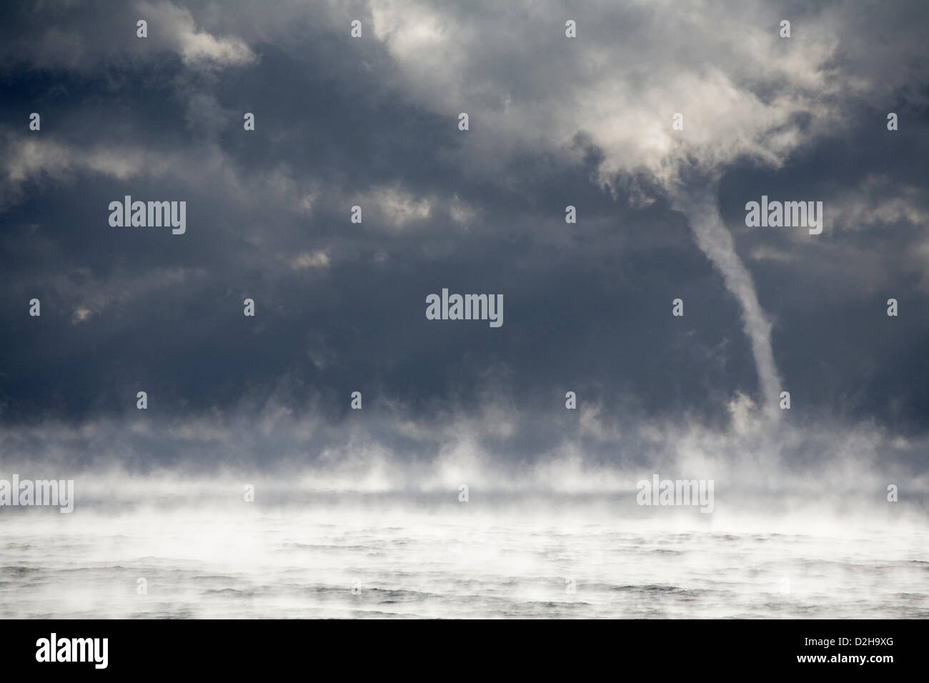 La Nouvelle-Écosse, Canada. 24 janvier 2013. Un bain à vapeur diable souffle en direction de l'embouchure du port de Halifax, Nouvelle-Écosse, Canada, le 24 janvier 2013, que la région connaît une période de temps particulièrement froid. Diables à vapeur sont un type de tourbillon qui forment parfois faibles et tirer de la vapeur sur la surface d'eaux relativement chaudes lorsque la température de l'air est très froid et que la fumée de mer s'est formée. Crédit : Dan Doucette / Alamy Live News Banque D'Images