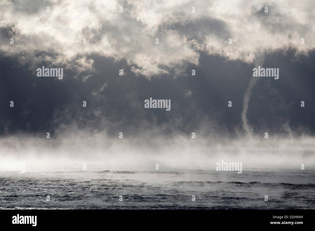 La Nouvelle-Écosse, Canada. 24 janvier 2013. Un bain à vapeur diable souffle en direction de l'embouchure du port de Halifax, Nouvelle-Écosse, Canada, le 24 janvier 2013, que la région connaît une période de temps particulièrement froid. Diables à vapeur sont un type de tourbillon qui forment parfois faibles et tirer de la vapeur sur la surface d'eaux relativement chaudes lorsque la température de l'air est très froid et que la fumée de mer s'est formée. Crédit : Dan Doucette / Alamy Live News Banque D'Images