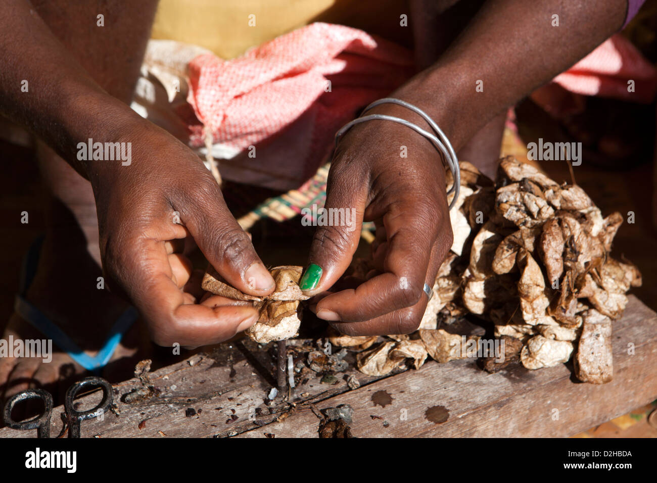 Madagascar, Ambalavao, Soalandy Atelier soie mains de travailleur les cocons de soie sauvage tournant Banque D'Images