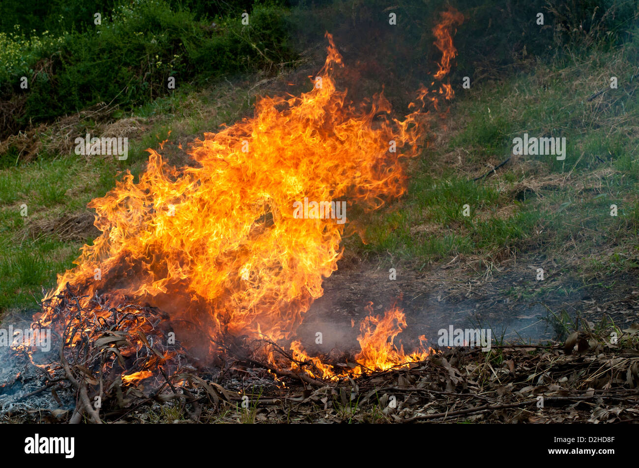 Feu de jardin Banque D'Images