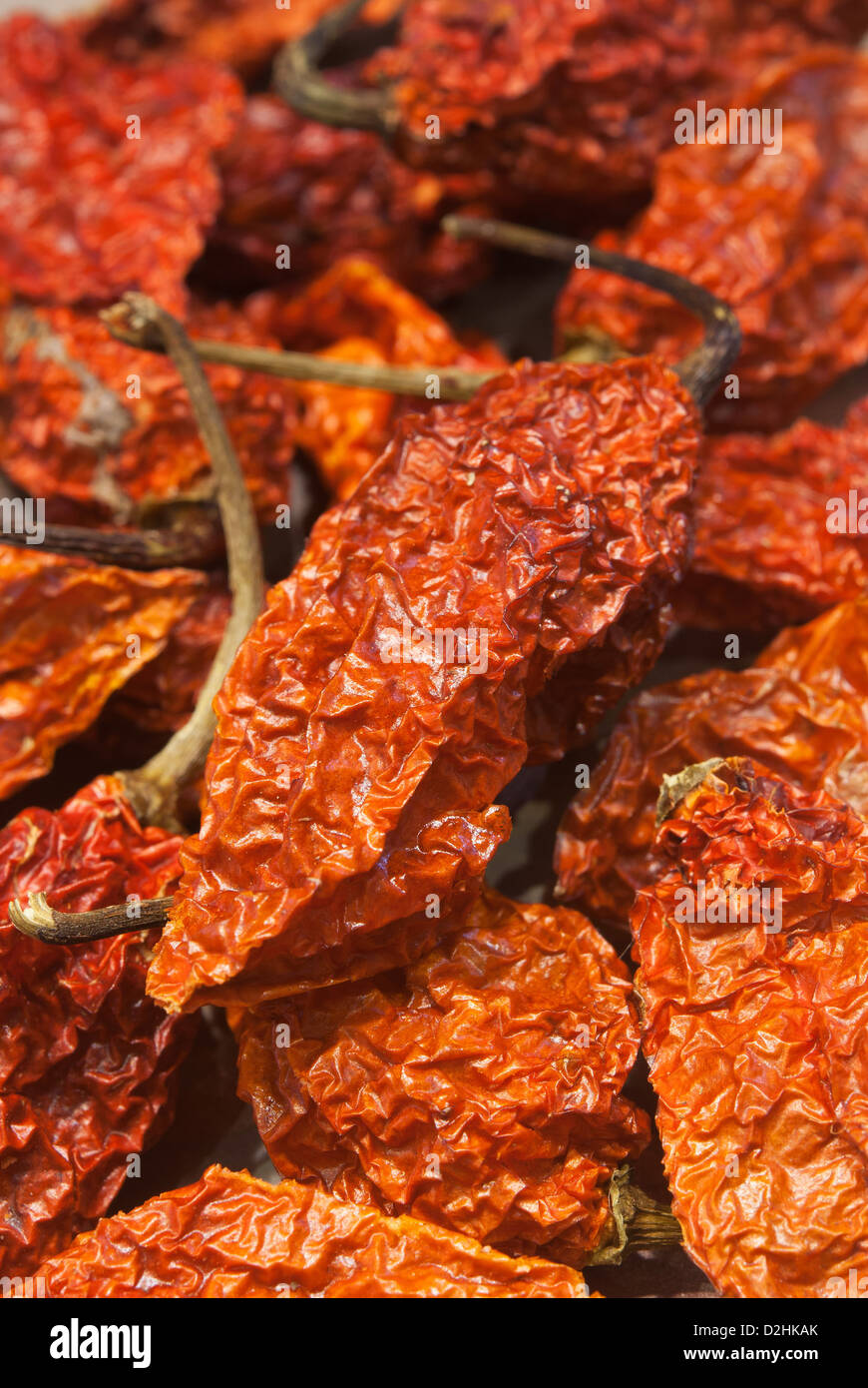 Bhut jolokia piments séchés (également connu sous le nom de Naga Naga Jolokia, Ghost, etc). Voir la description fort pour plus d'informations. Banque D'Images