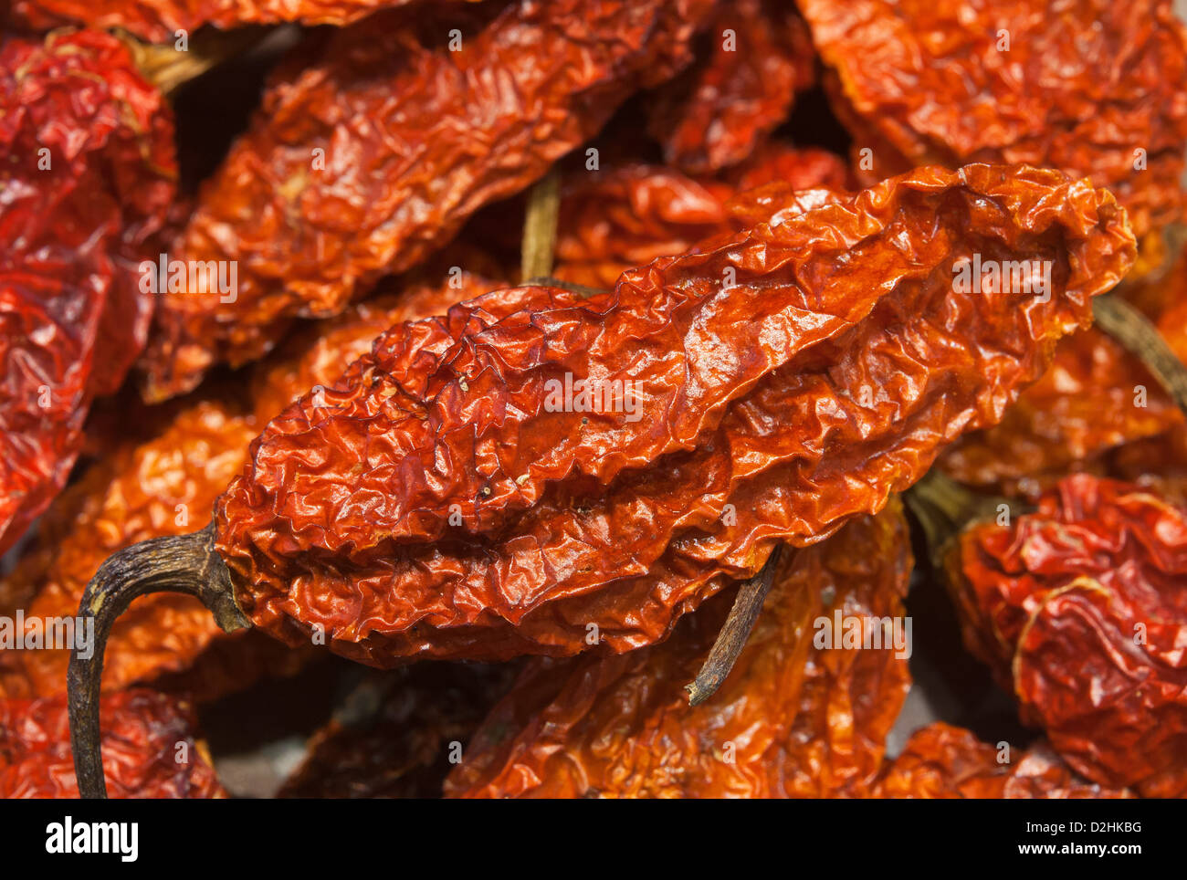 Bhut jolokia piments séchés (également connu sous le nom de Naga Naga Jolokia, Ghost, etc). Voir la description fort pour plus d'informations. Banque D'Images
