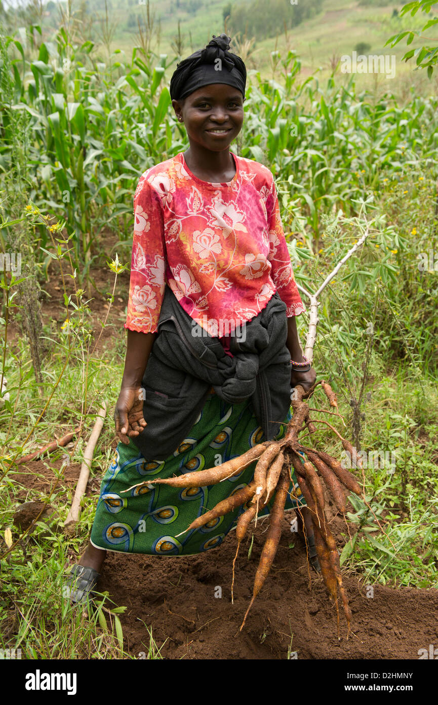 Femme de la récolte du manioc, village près de Muhanga, Rwanda Banque D'Images