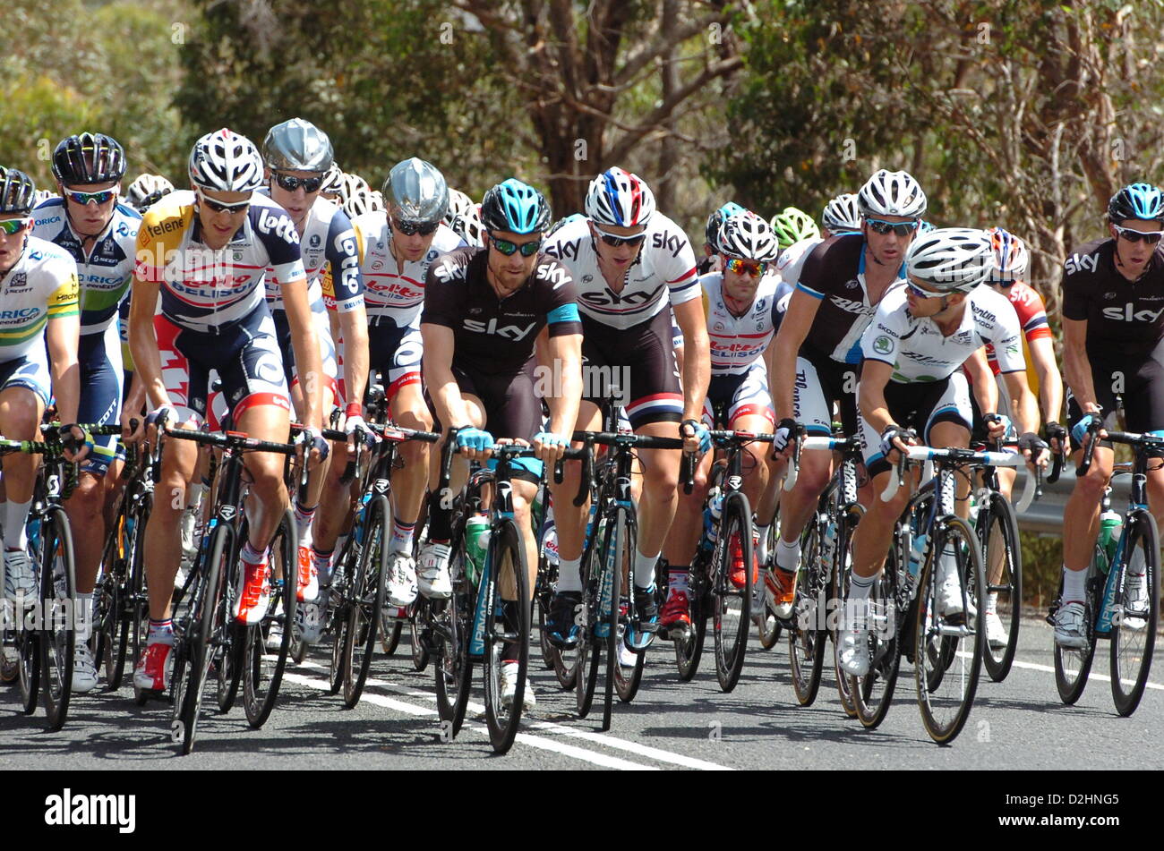 Le 25 janvier 2013. Tanunda, Australie. Tour Down Under l'étape 4 à Modbury Tanunda. Le peleton.Action Plus Sport Images/Alamy live news. Banque D'Images