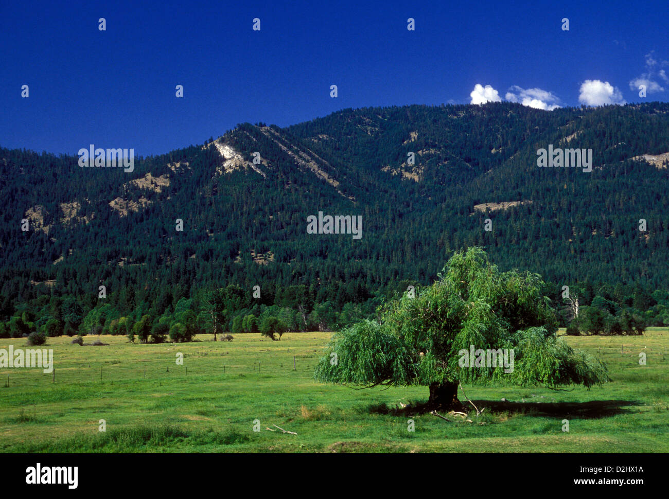 Vallée Methow, Mazama, Cascades Nord Autoroute, route 20, West Virginia, United States, Amérique du Nord Banque D'Images