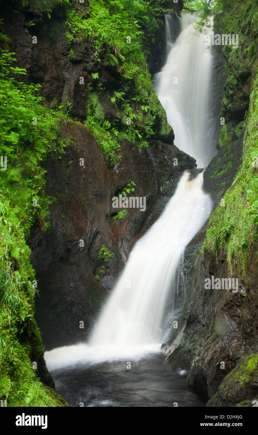 Ess-na-Larach cascade, Glenariff Forest Park, dans le comté d'Antrim, en Irlande du Nord. Banque D'Images