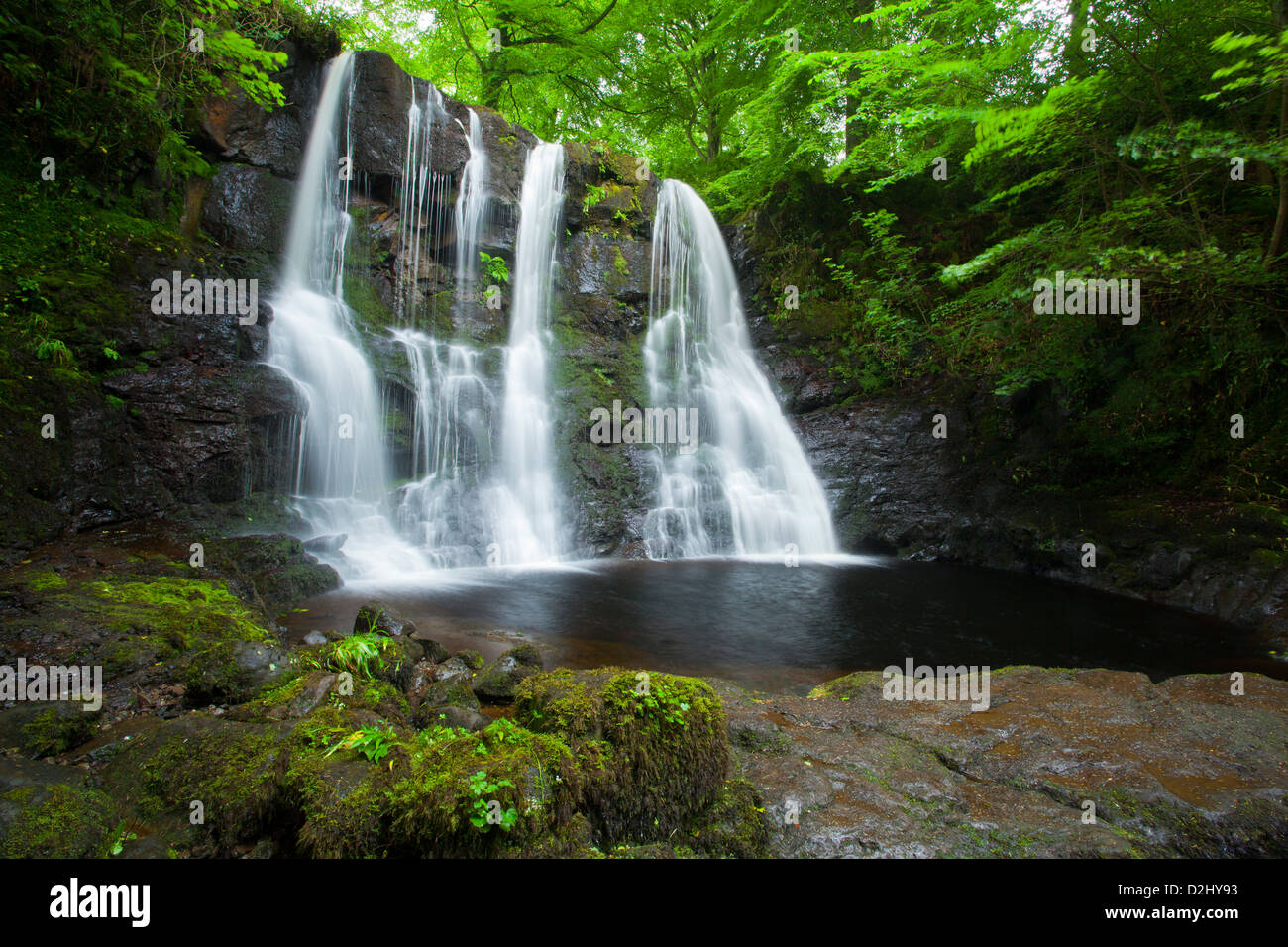 Ess-Na-Crub Cascade, Glenariff Forest Park, dans le comté d'Antrim, en Irlande du Nord. Banque D'Images