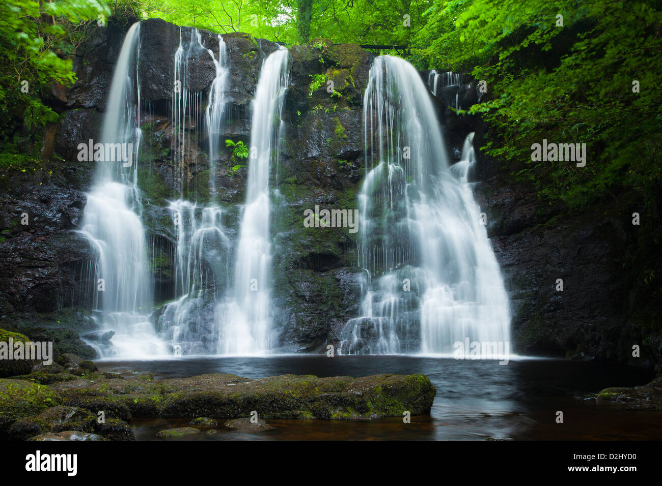 Ess-Na-Crub Cascade, Glenariff Forest Park, dans le comté d'Antrim, en Irlande du Nord. Banque D'Images