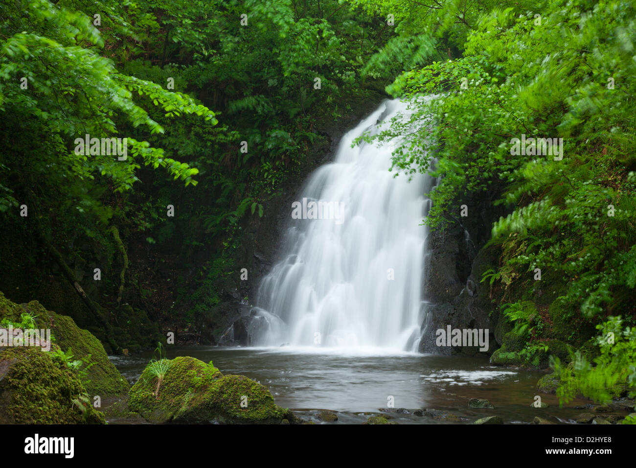 Glenoe Cascade, comté d'Antrim, en Irlande du Nord. Banque D'Images