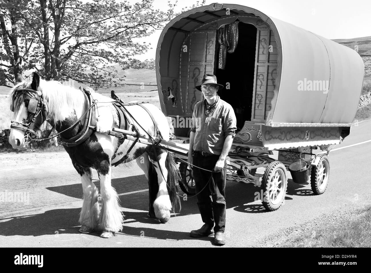 Traveller, en route vers l'arrêt Appleby Horse Fair, Garsdale Head, Yorkshire, Angleterre Banque D'Images