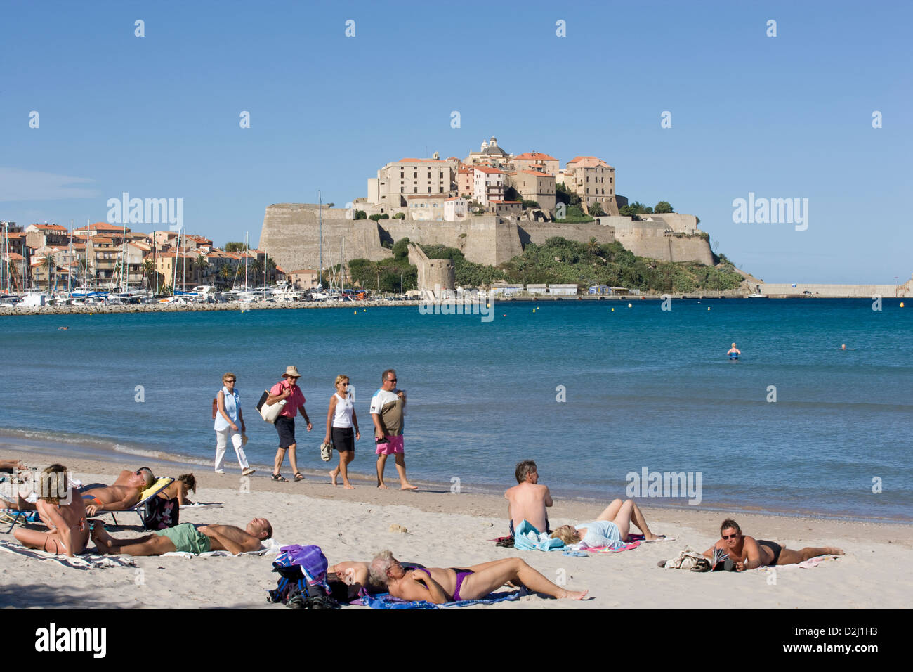 Corse : Calvi Citadelle Banque D'Images