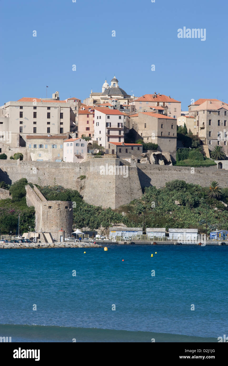 Corse : Calvi Citadelle Banque D'Images