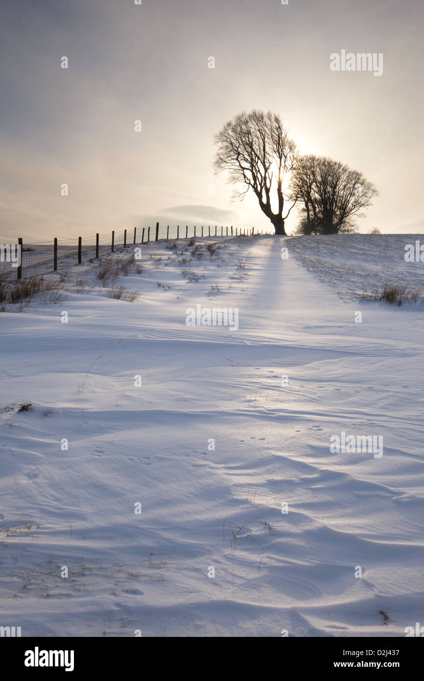 Sur la colline d'hiver Linley, Shropshire, England, UK Banque D'Images