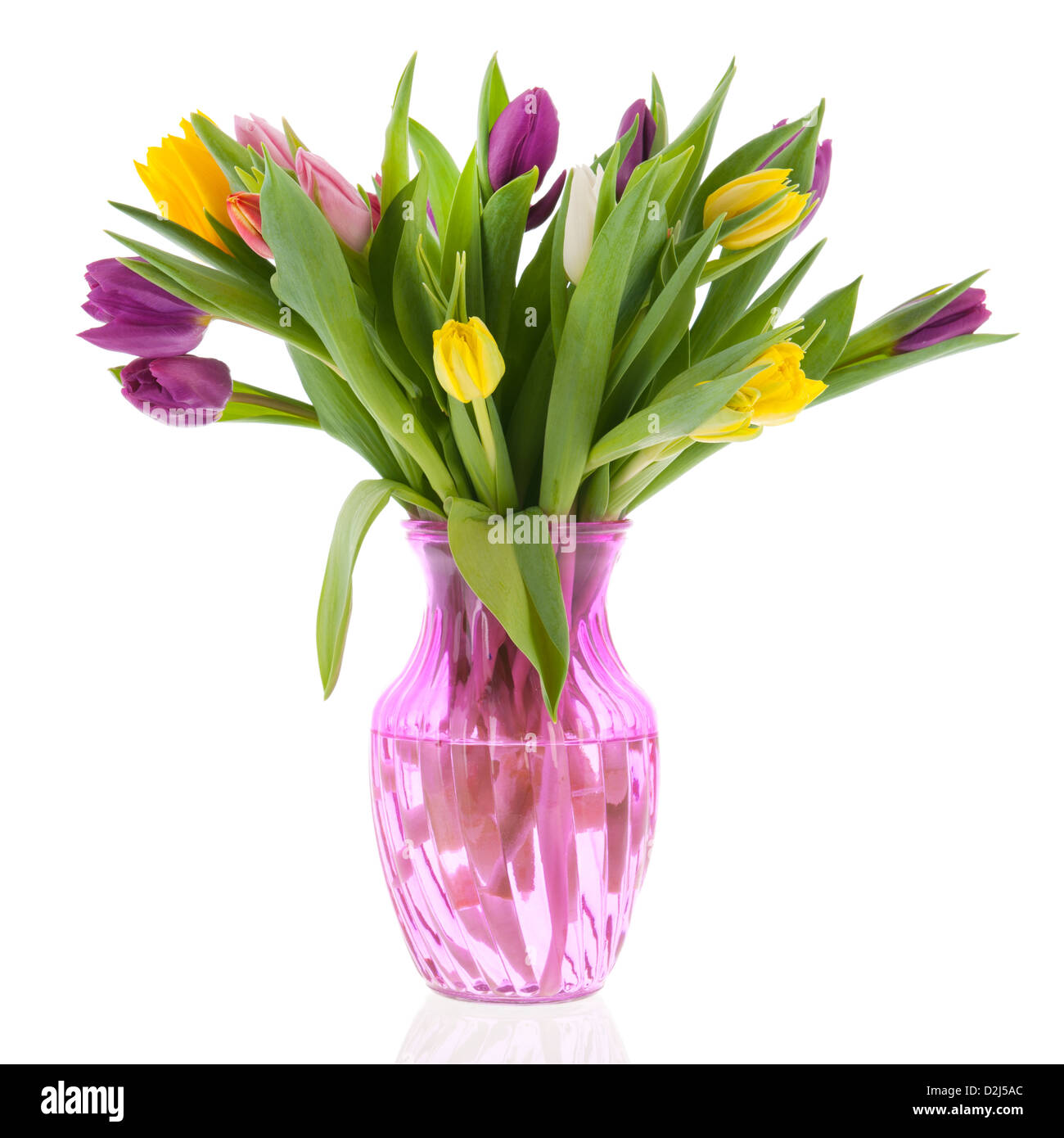 Bouquet de tulipes dans un vase isolé sur fond blanc Banque D'Images