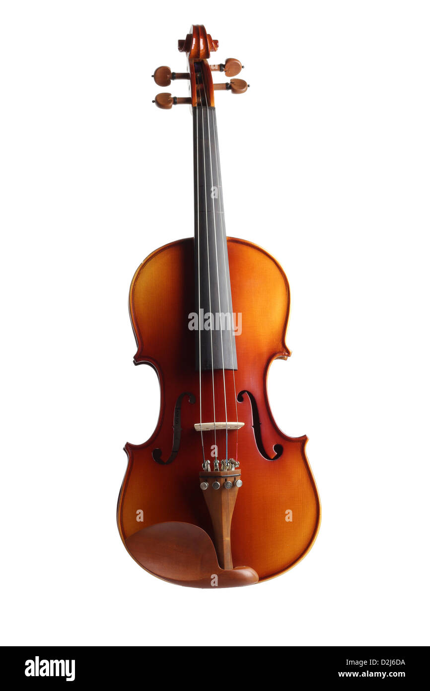 Violon (isolé) Banque D'Images