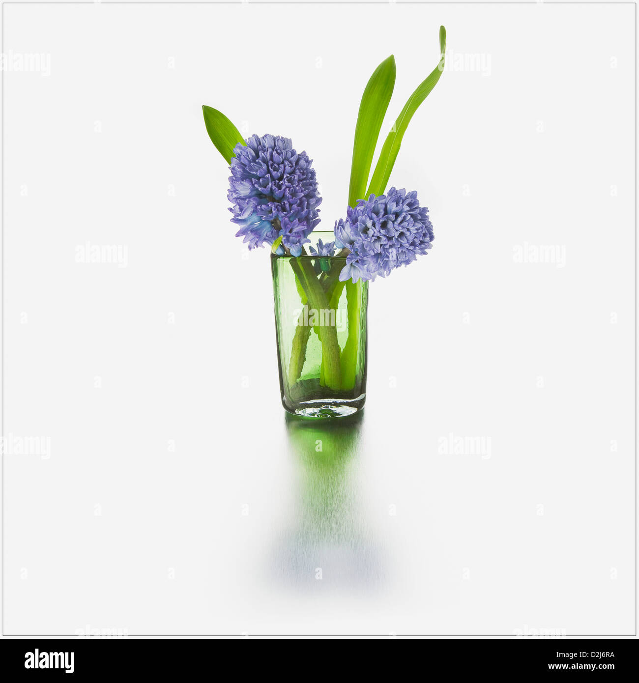 Fleurs violettes dans un vase de verre Banque D'Images