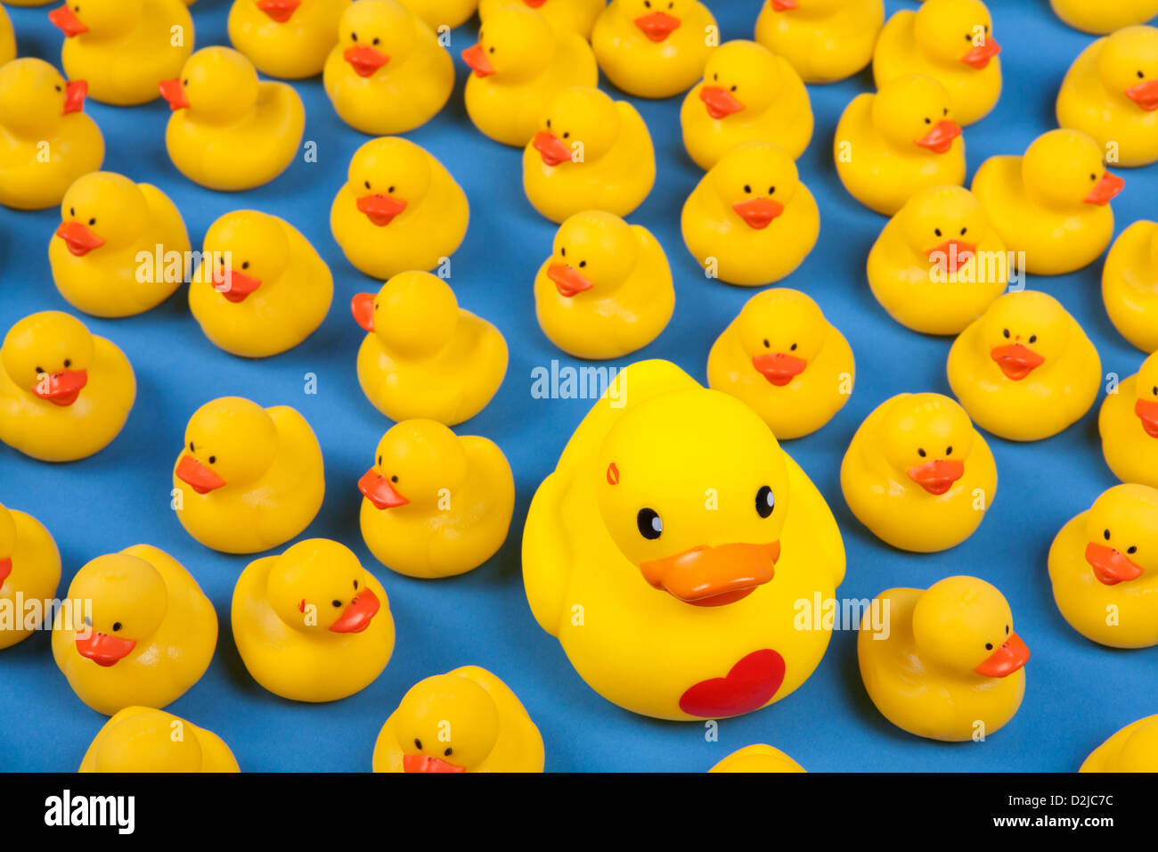 Masse de canards en plastique jaune Banque D'Images
