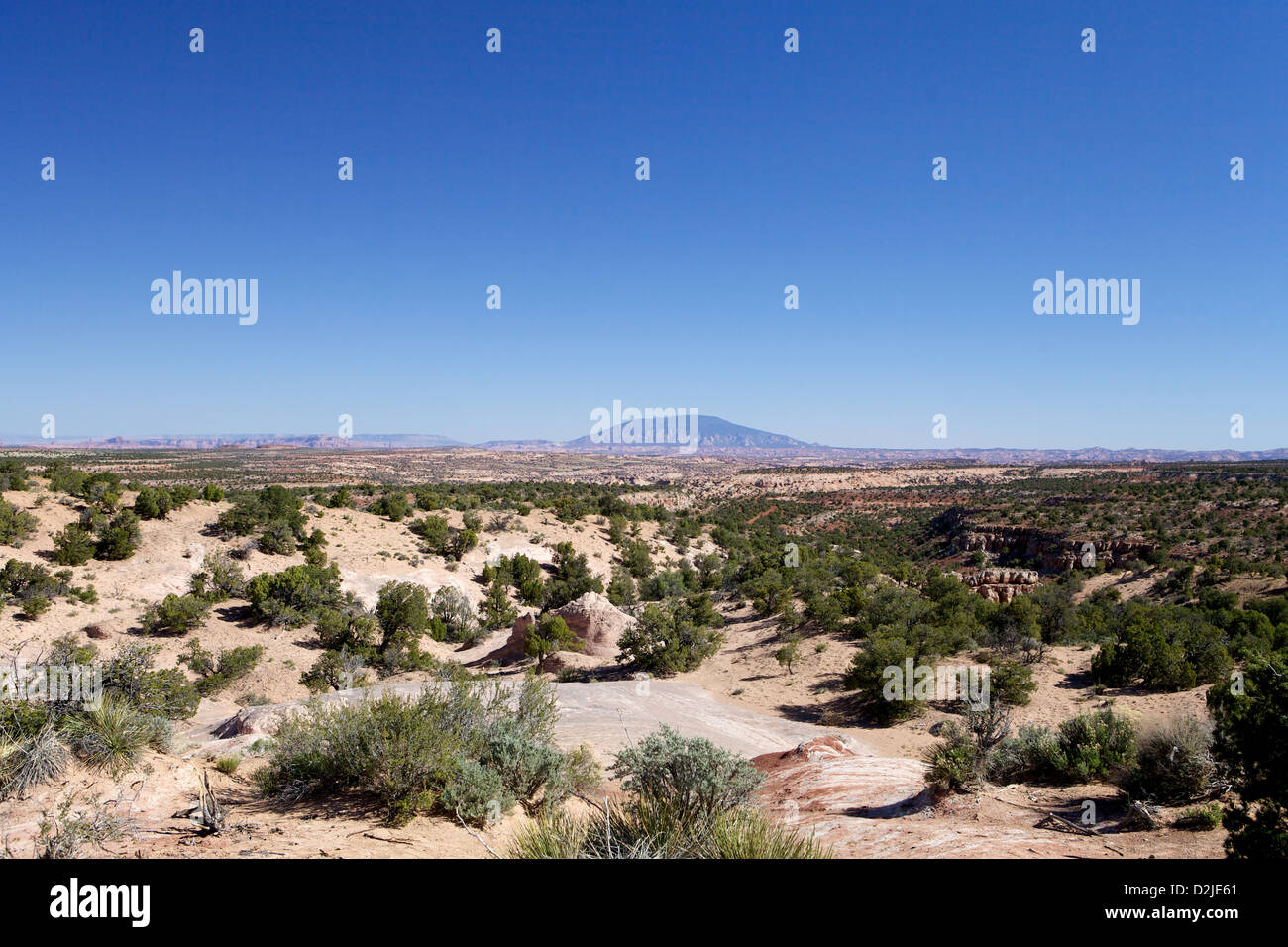 Paysage désertique de dénudation dans l'Utah, USA Banque D'Images