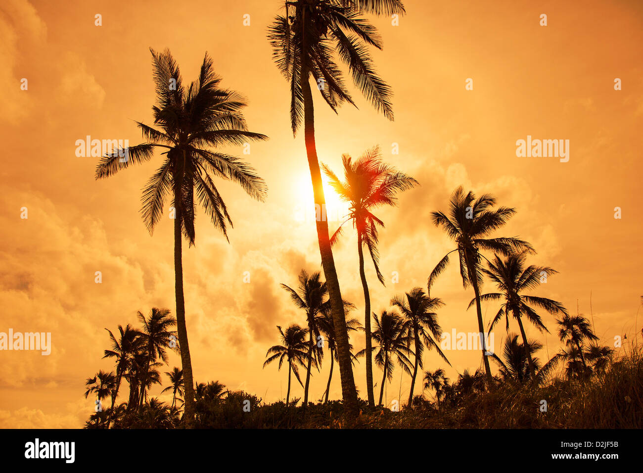 L'Île Eleuthera, Bahamas, Coucher de soleil sur Double Bay Beach Banque D'Images