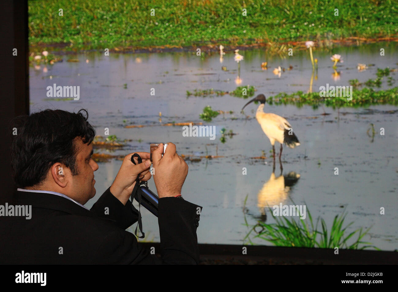 Berlin, Allemagne, les visiteurs à l'IFA photographié avec grand écran de Panasonic Banque D'Images