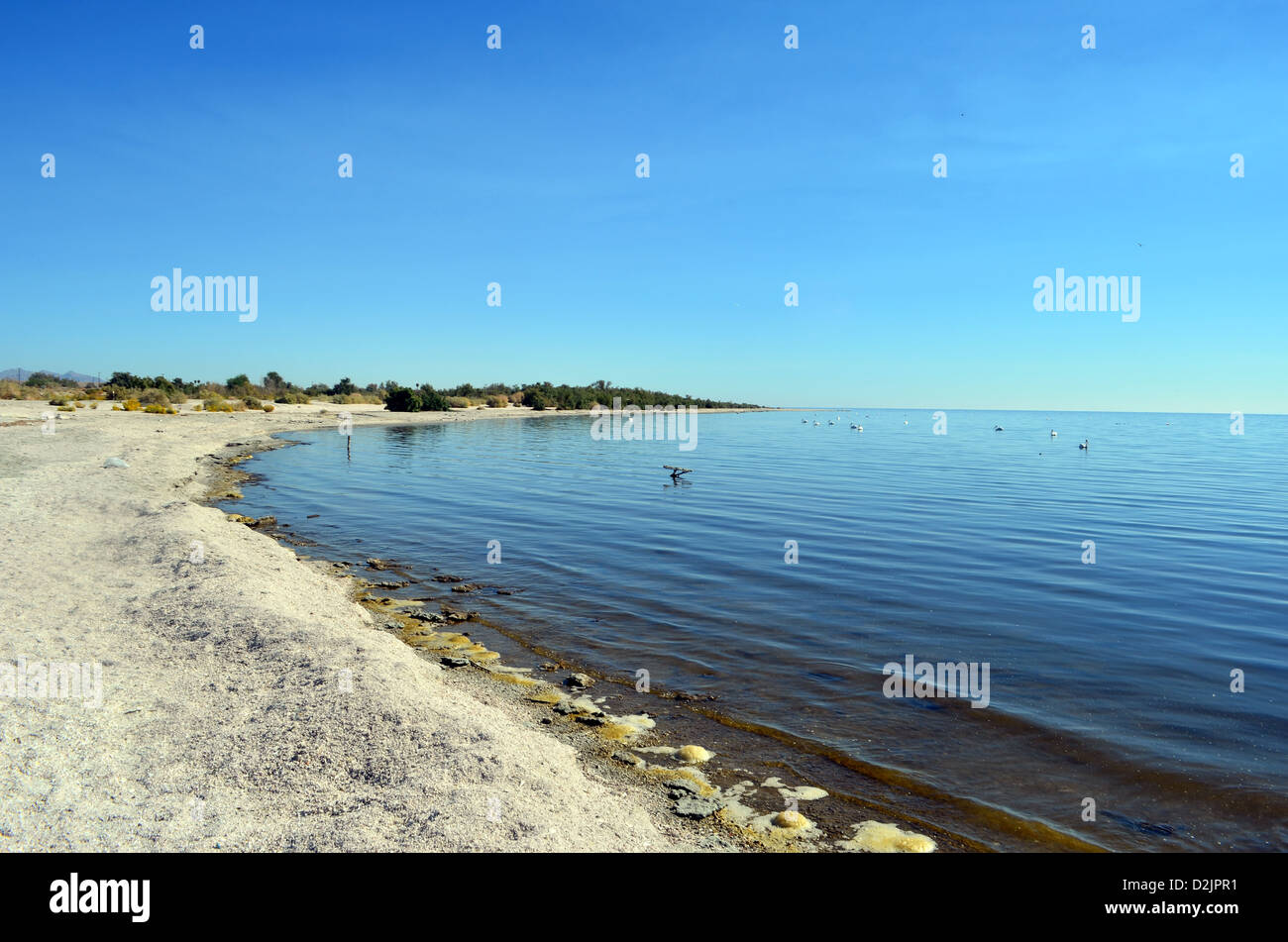 La côte de la mer de Salton, la Californie. Banque D'Images