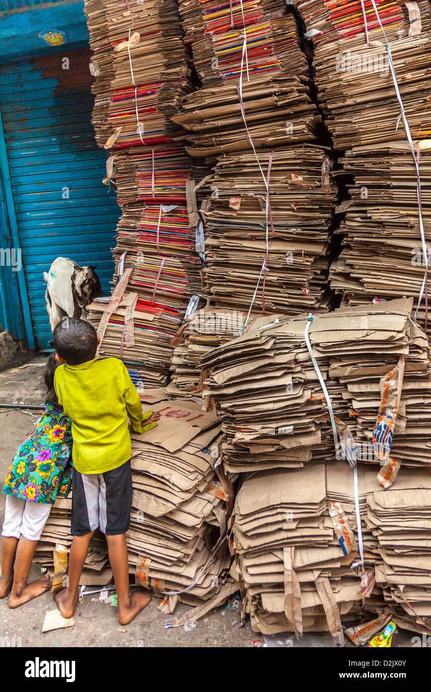 Le recyclage du carton, Mumbai, Inde Banque D'Images