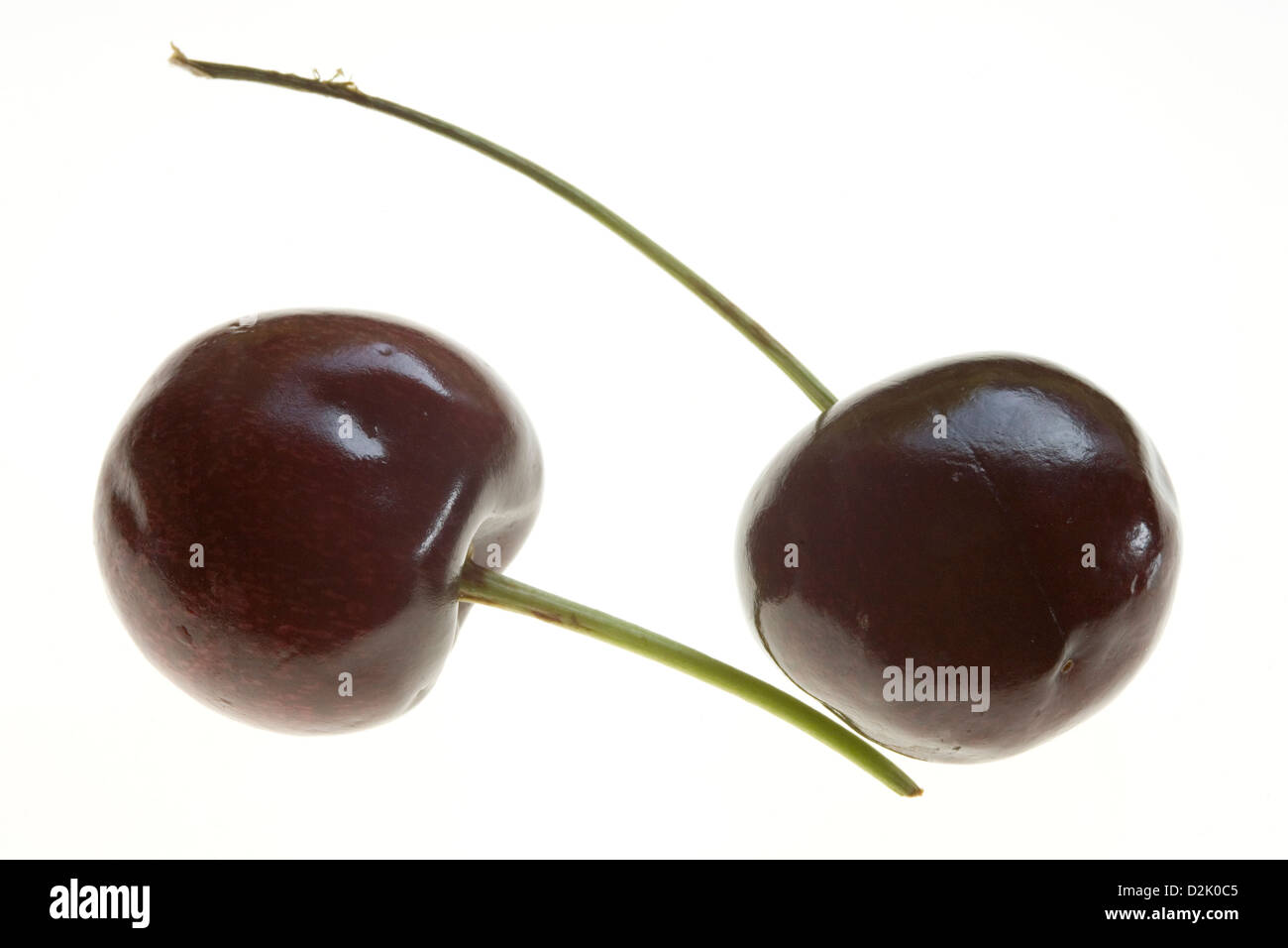 Deux cerises sur un arbre Banque de photographies et d’images à haute ...