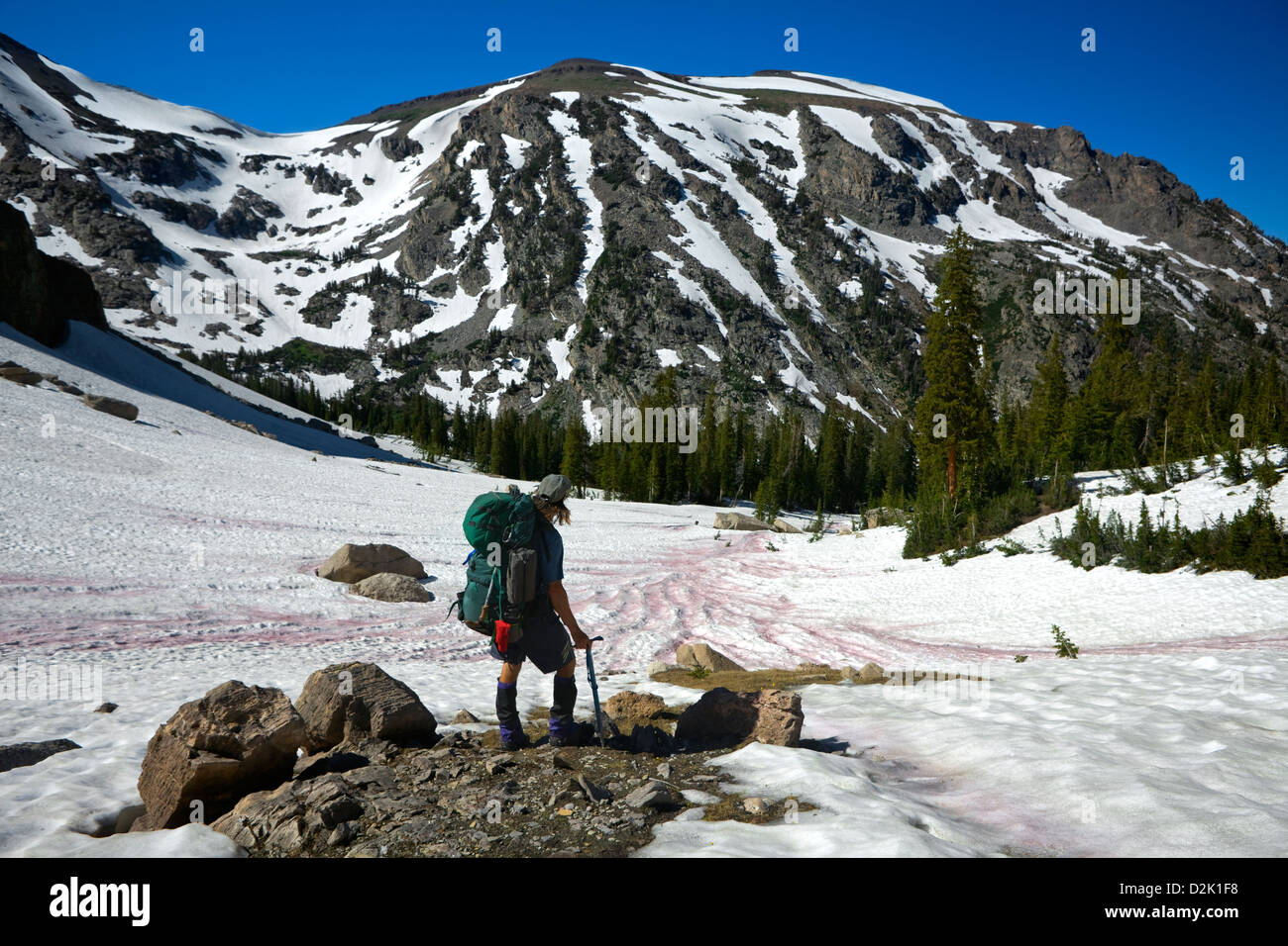 WY00234-00...WYOMING - Hiker en dessous du Mont Hunt diviser d'Open Canyon dans le Grand Teton National Park. Banque D'Images