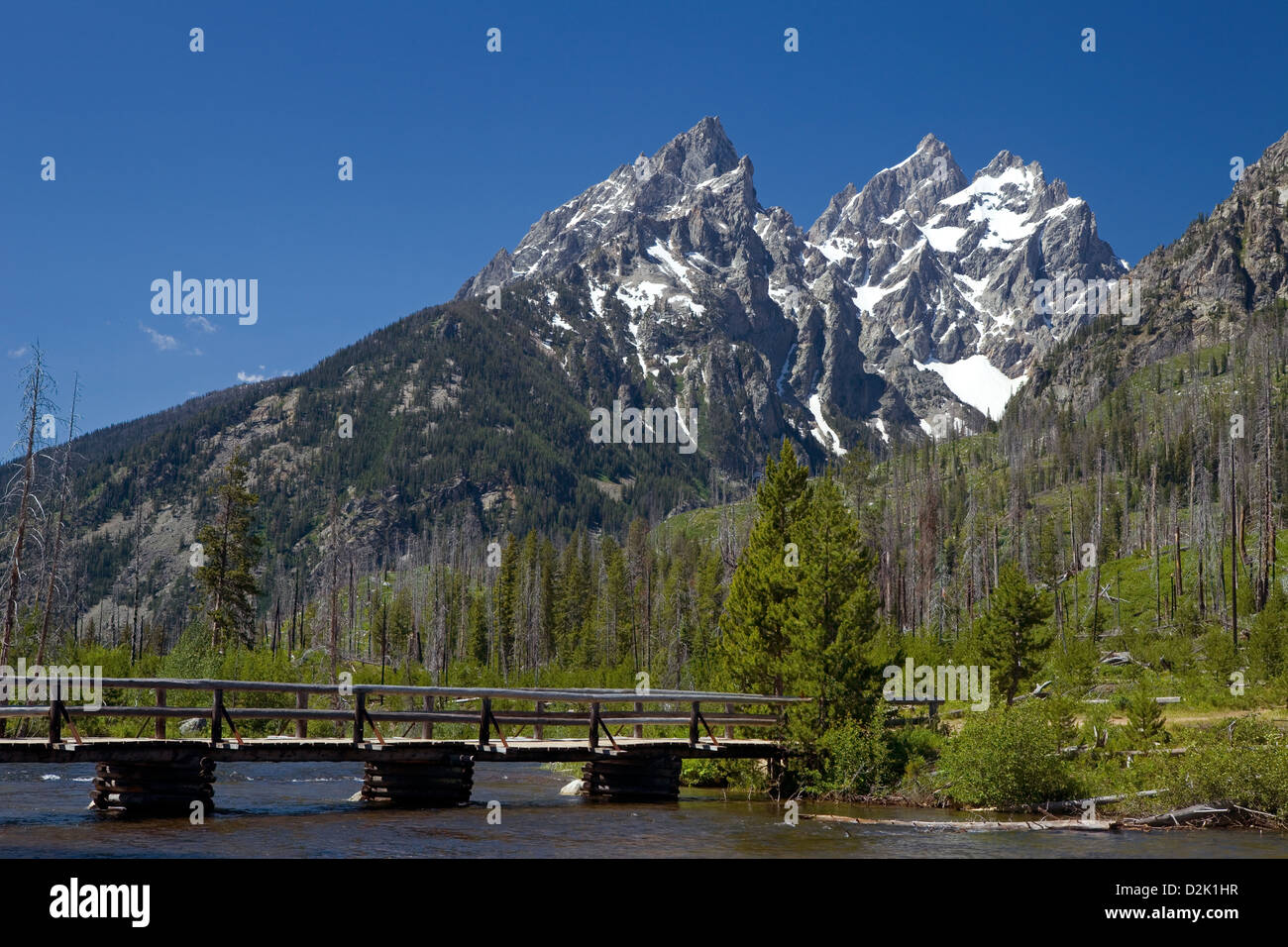 WY00287-00...WYOMING - La chaîne et le lac de Pont Teton Mountains dans le Grand Teton National Park. Banque D'Images