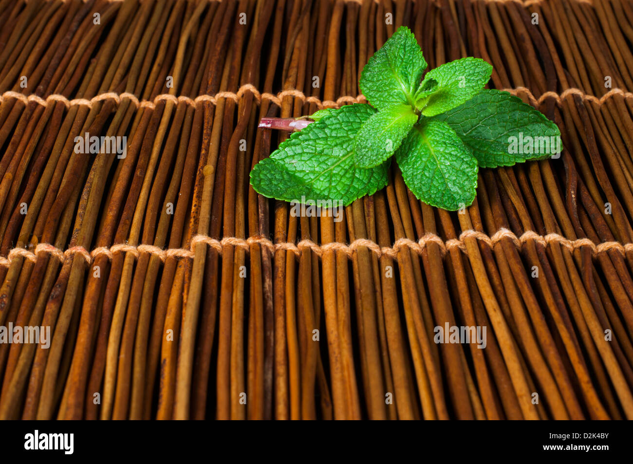 Les feuilles de menthe sur base de bois. Close up la menthe fraîche Banque D'Images