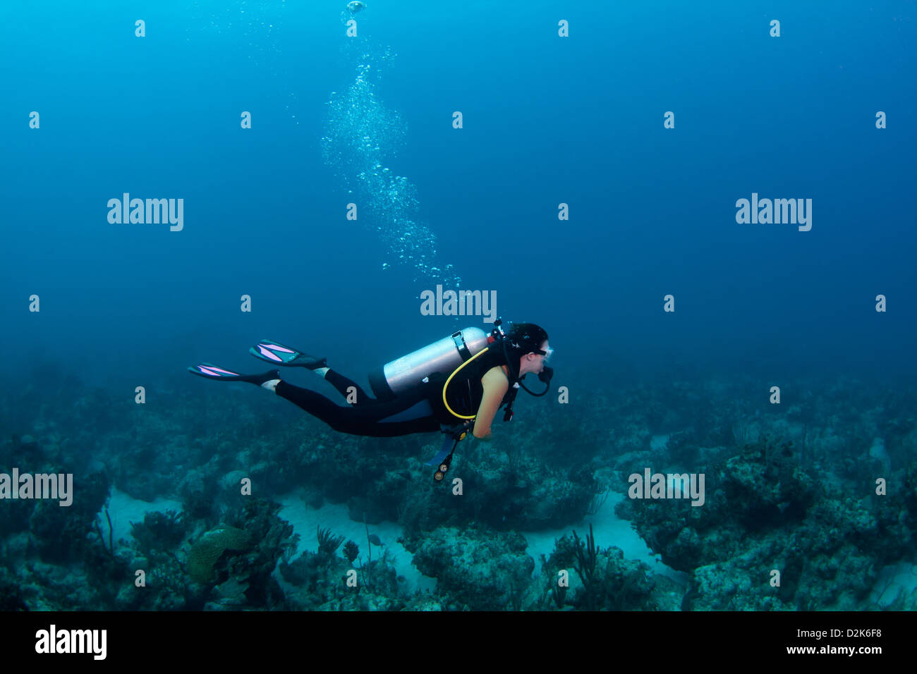 Plongeur femelle sur un récif de corail aux Bahamas Banque D'Images