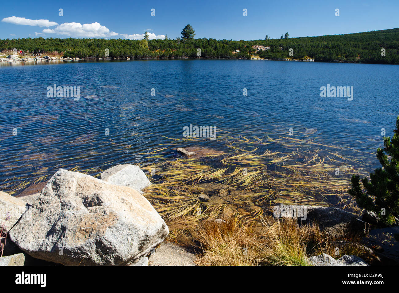 Lac de montagne dans le parc national de Pirin, Bulgarie Banque D'Images