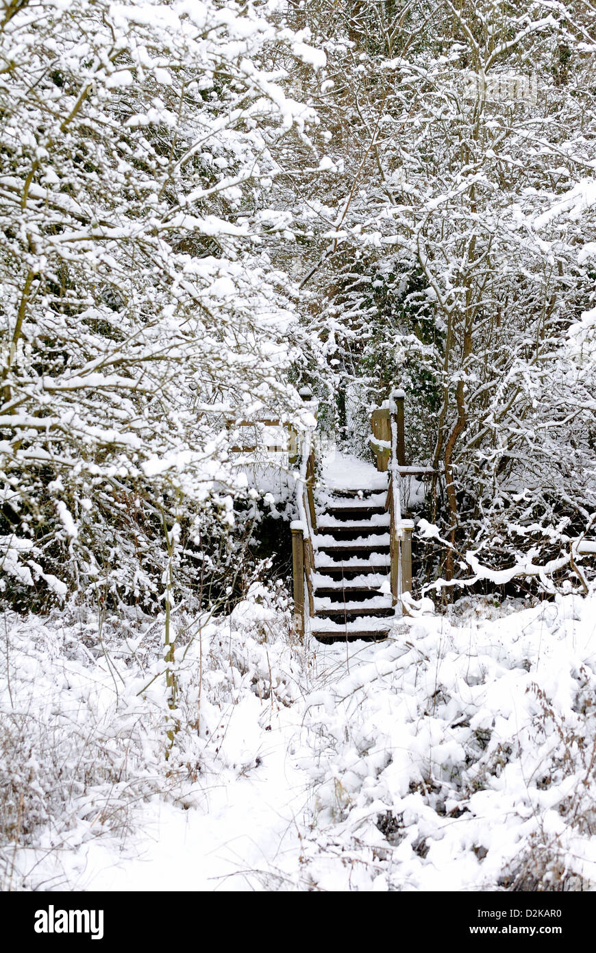 Sentier menant à un petit pont en bois qui vous emmène à travers un bois avec de la neige au sol et sur les branches. Banque D'Images